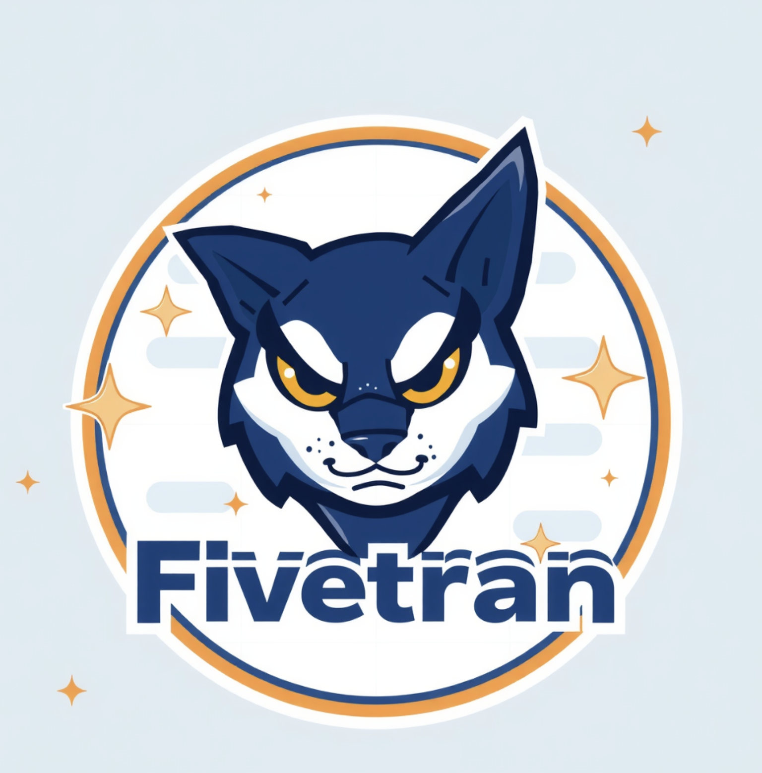 Fivetran Analytics